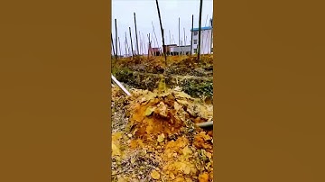 The process of digging cassava - a good tool can do more with less