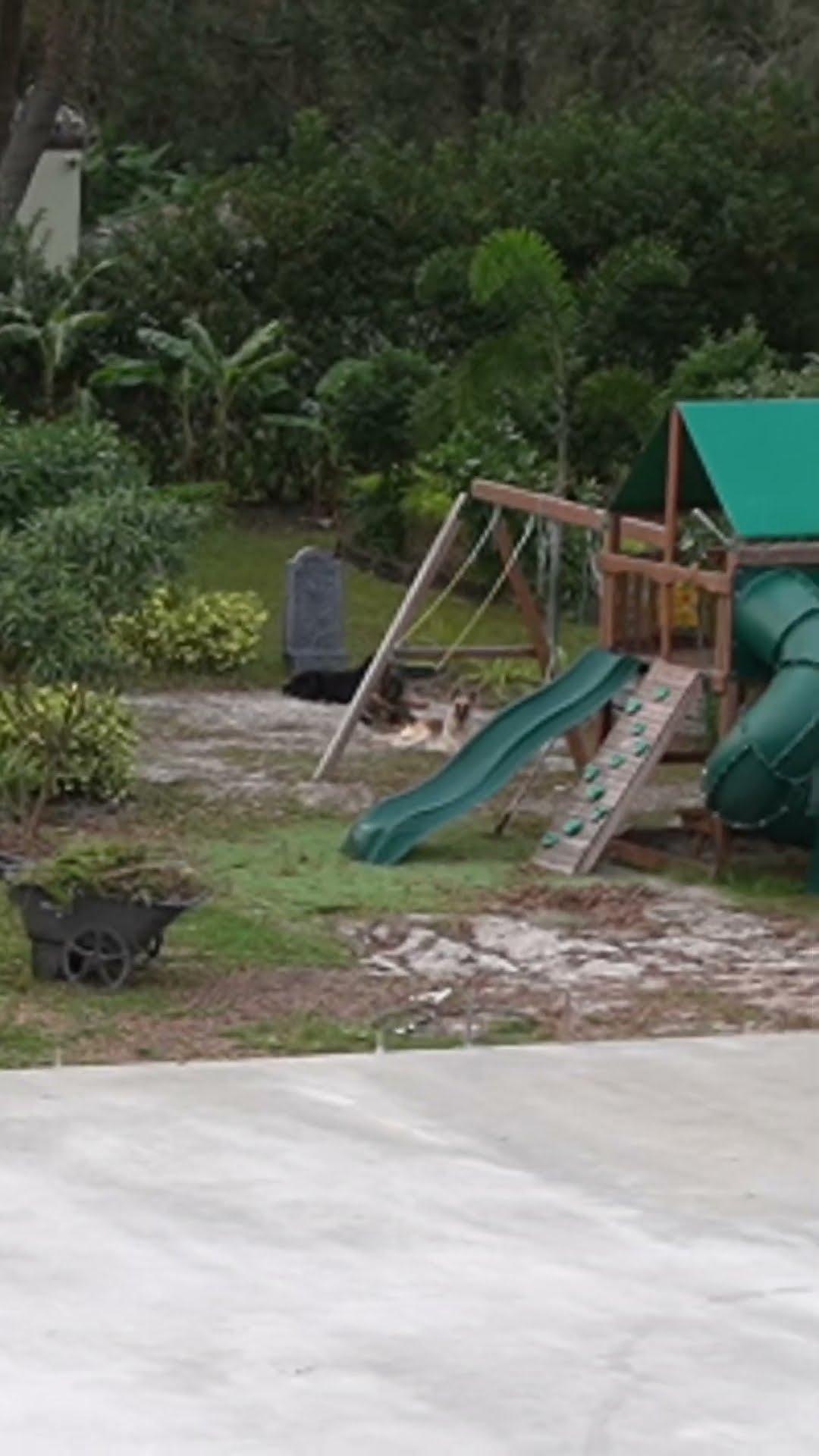 Mom and dad find out their playground at home is haunted... #shorts