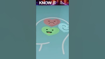 10 Things You Didn’t Know Your Brain Does While You Sleep