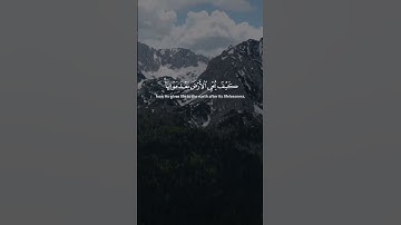 تلاوة خاشعة | "فَٱنظُرْ إِلَىٰ ءَاثَٰرِ رَحْمَتِ ٱللَّهِ" | بصوت الشيخ ياسر الدوسري #القرآن_الكريم