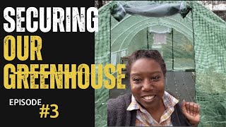 Securing Our Greenhouse and Putting the First Plants in the Greenhouse | Greenhouse Series Episode 3