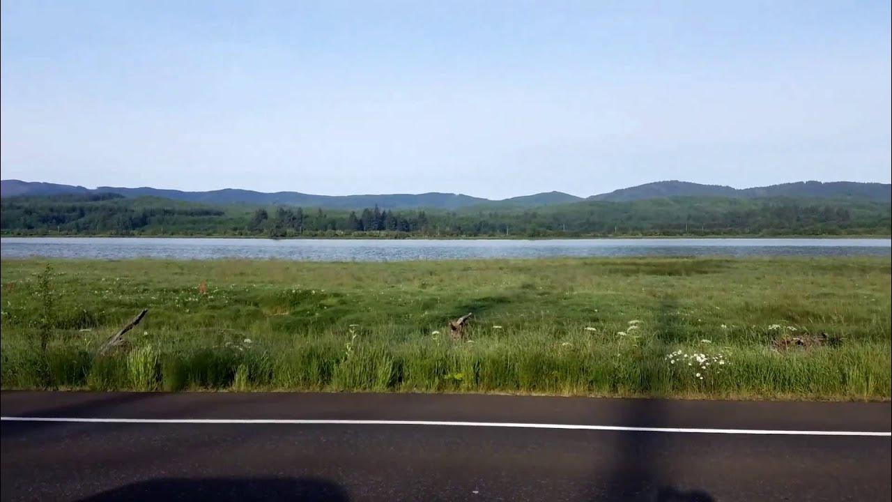 NASELLE RIVER YouTube