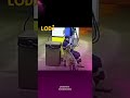 فيديو كايوثق لحظة هجوم نمر ضخم على عامل فـ محطة وقود فـ البرازيل، البلان لي صدم كولشي هو الهدوء وال
