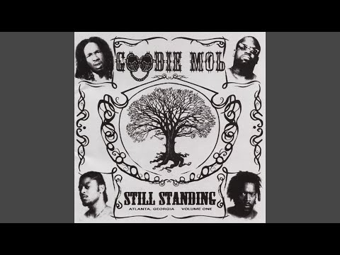 Goodie Mob — The Damm
