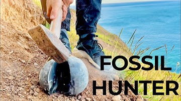 Rocky BEACH Fossil Hunting + TWO HUGE Ammonite Rocks! | Fossil Hunter