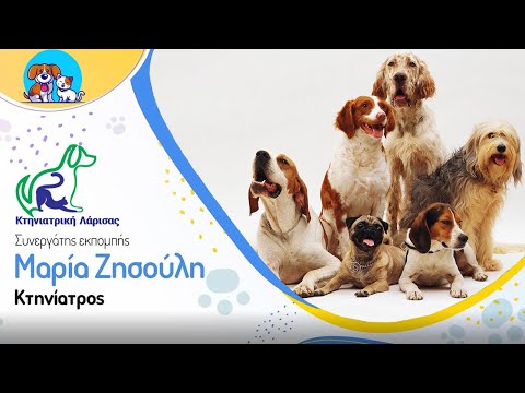 Βίντεο: Χρήσεις για σόλα σχεδίασης σε σκύλους