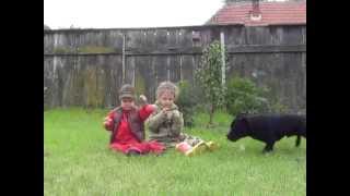 Staffordshire Bull Terrier With Kids