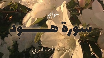 تلاوة عطرة هادئة بخشوع من سورة هود | د.أحمد العربي
