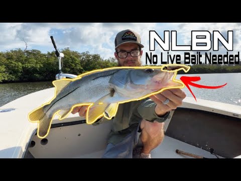 Does NLBN LURES Live up to the HYPE?? [NO LIVE BAIT NEEDED 3