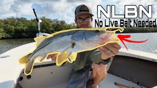 Does NLBN LURES Live up to the HYPE?? [NO LIVE BAIT NEEDED 3