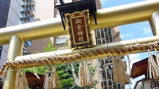 黄金色に輝く鳥居！金運UP祈願でにぎわう御金神社（京都）