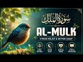 Surah Al Mulk Full (سورة الملك) | Powerful Night Recitation Before Sleep | Peace Holy Quran