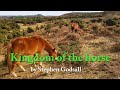 KINGDOM OF THE HORSE : a New Forest idyll