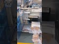 Automatic Pouch-Opening and Precise-Dosing Granule Packaging Machine