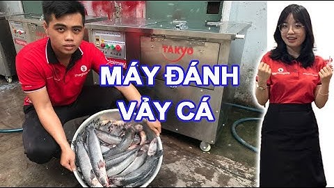 Làm sạch vảy cá lóc bằng máy đánh vảy takyo tk 700