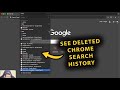 How To See Deleted Search History In Google Chrome (Still Possible!)