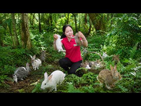 Harvesting A Lot Of Rabbits From Farm 🐇 Going To Countryside Market To Sell | Daily Garden