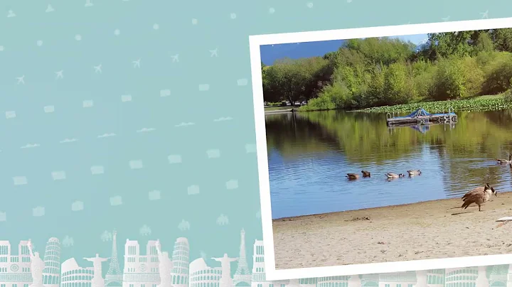 Trout Lake Video