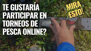 Te Gustaria Pescar En Torneos Online? Entonces Mira Este Video.