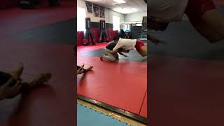 Reverse arm lock counter from front headlock