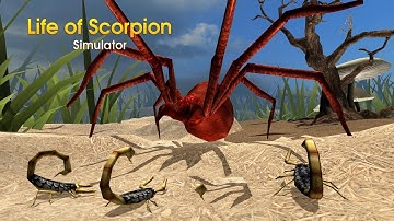 Life of Scorpion Android Gameplay HD