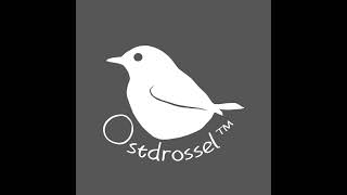 Ostdrossel Ground cam  #birds #wildlife  #Ostdrossel
