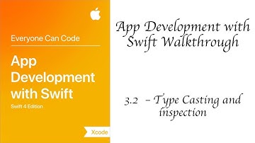3.2 - Type Casting and Inspection