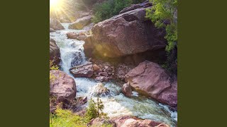 Streamside Serenades