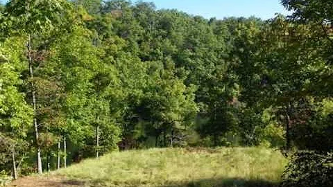 PRIVATE LAKEFRONT ON LAKE ADGER