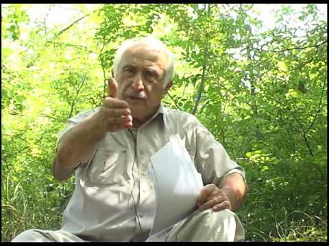 იდეოლოგია