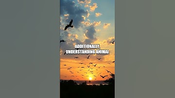 Mastering Navigation Techniques Using Landmarks