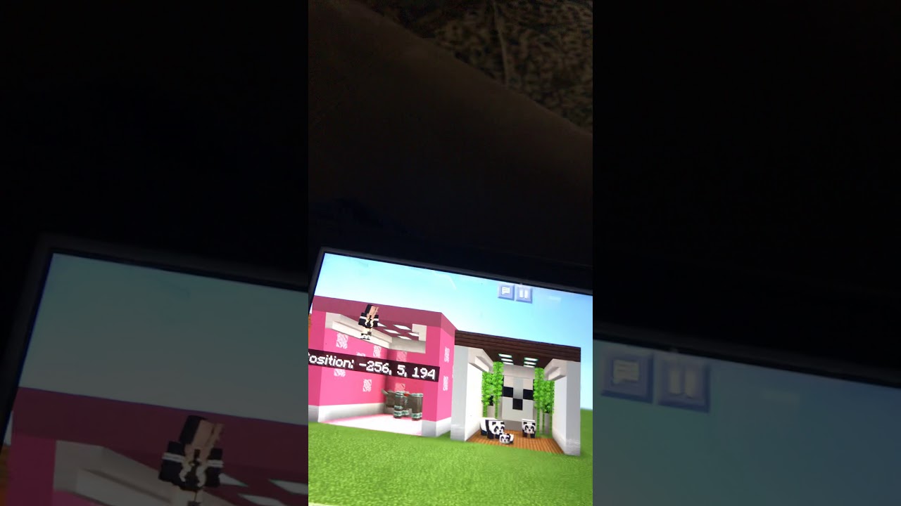 A Minecraft video I have a sick baby panda - YouTube