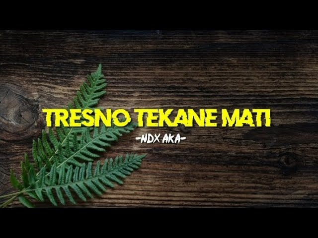 Tresno Tekane Mati (lirik) ~ NDX AKA class=