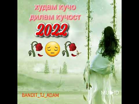 худам кучо дилам кучост 2022 эрони ошики