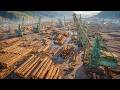 From Forest to Finished Lumber: How America's Modern Sawmills Process Millions of Board Feet