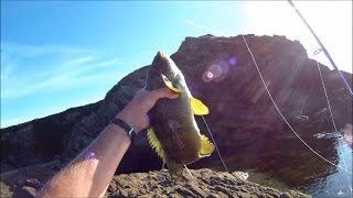 Shore Fishing - Rock Fishing for Wrasse with Slug-Go Soft Plastic Lures screenshot 2