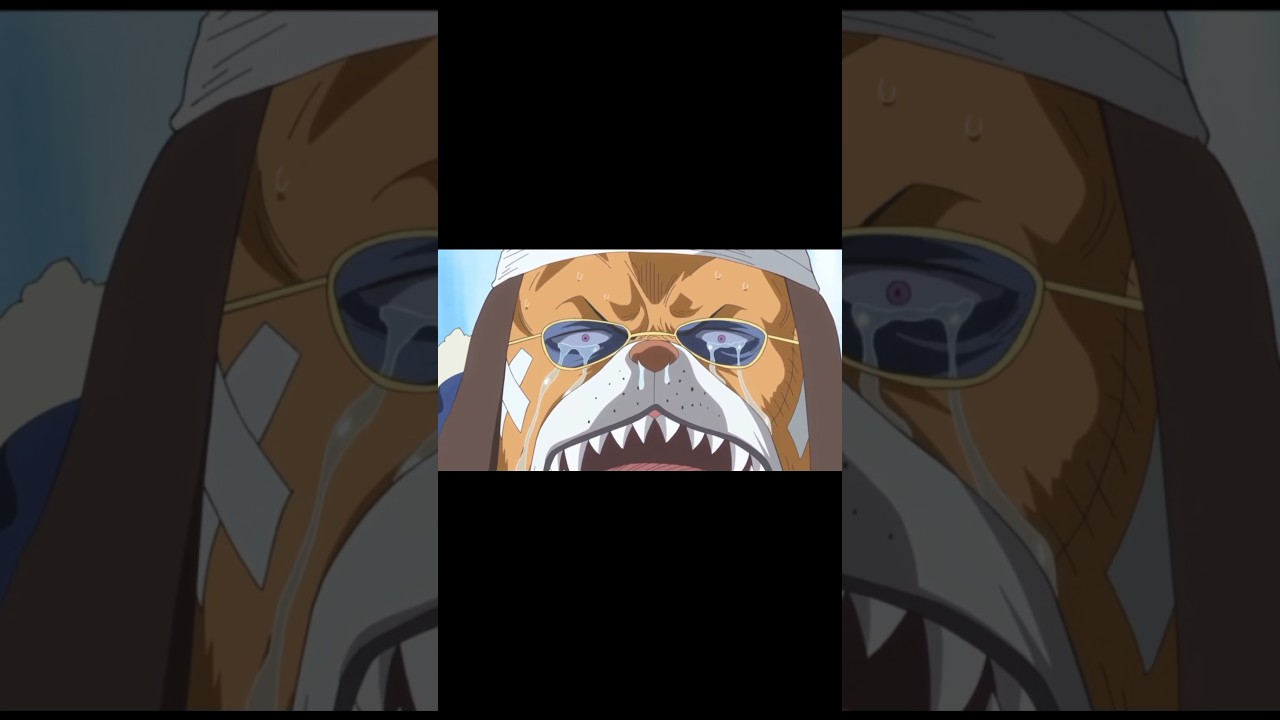 Best moments in each one piece arc&hellip;  ||  Zou arc pt.1 #onepiece #zou #raizo #catviper #dogviper