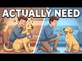 Your Dog Doesn't Understand Your Love (Here's What They Actually Need)