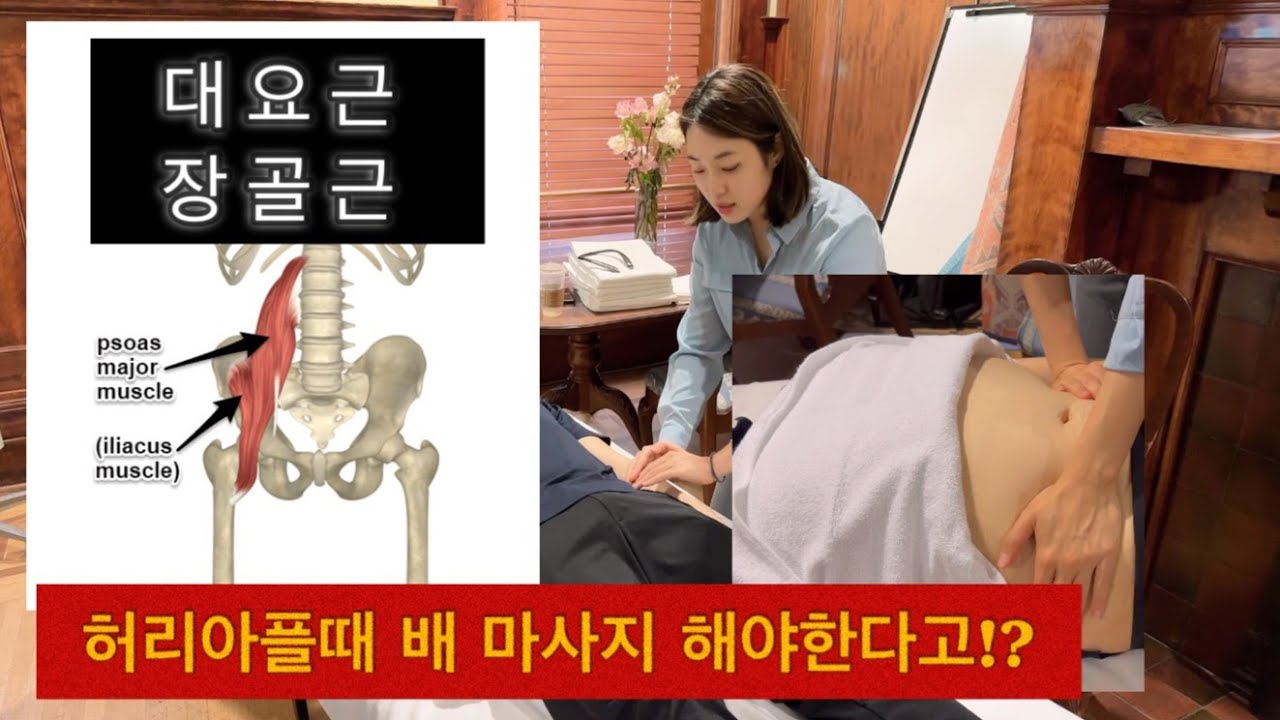 캐나다 마사지 테라피스트가 알려주는 허리아플때 배 마사지 하는법 [장요근 마사지] 대요근 +장골근 근육 아나토미 / 허리통증 허벅지 앞쪽 통증 마사지 하는법 스트레칭법