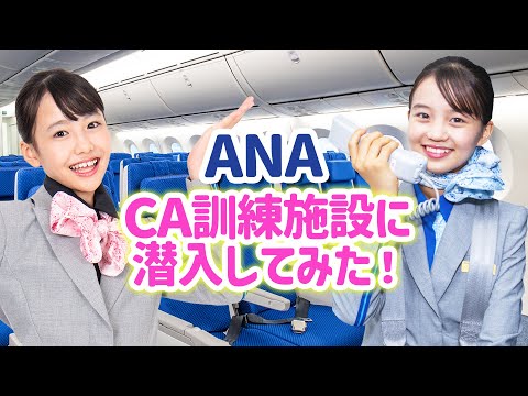 レア‼︎ 美品】ANA ANA客室乗務員初の65歳定年迎えた大宅さん、普段
