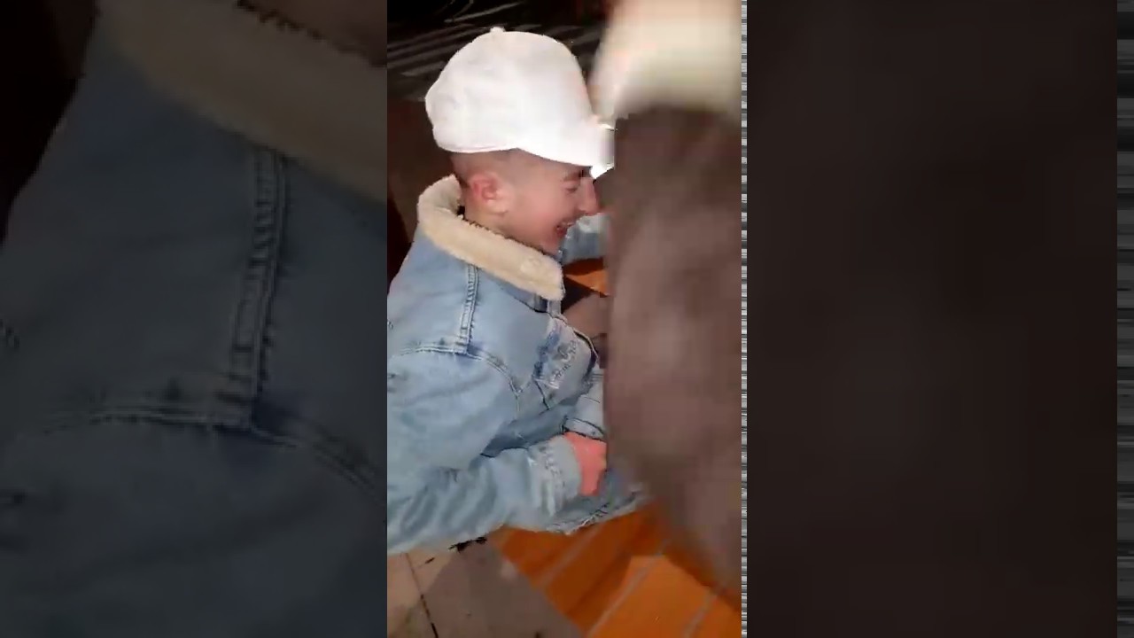 Chino Con La Faccia A Terra