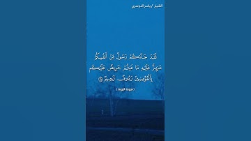 سورة التوبة ( ١٢٨ - ١٢٩) / ياسر الدوسري