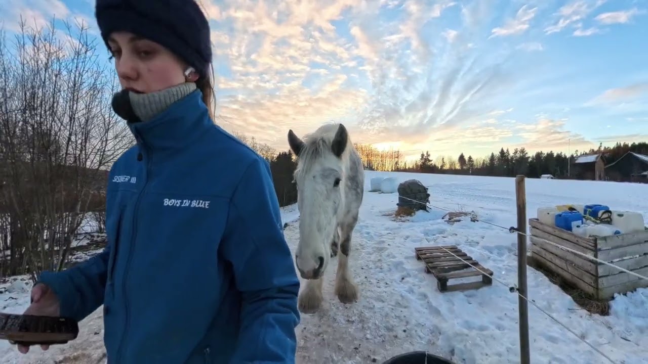 Tester Insta360 kamera hos hestene! YAY or NAY?