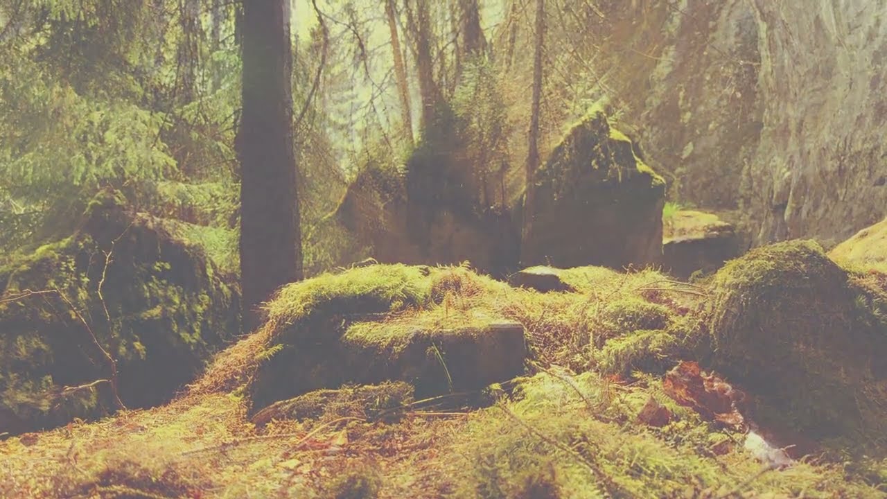 Maxx - painting the walls (Alpha Mound Rework)