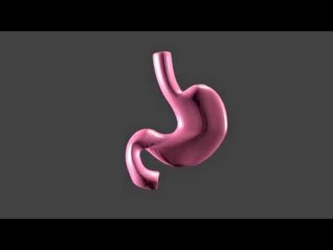胃：最期のダンス　stomach dancing explosion