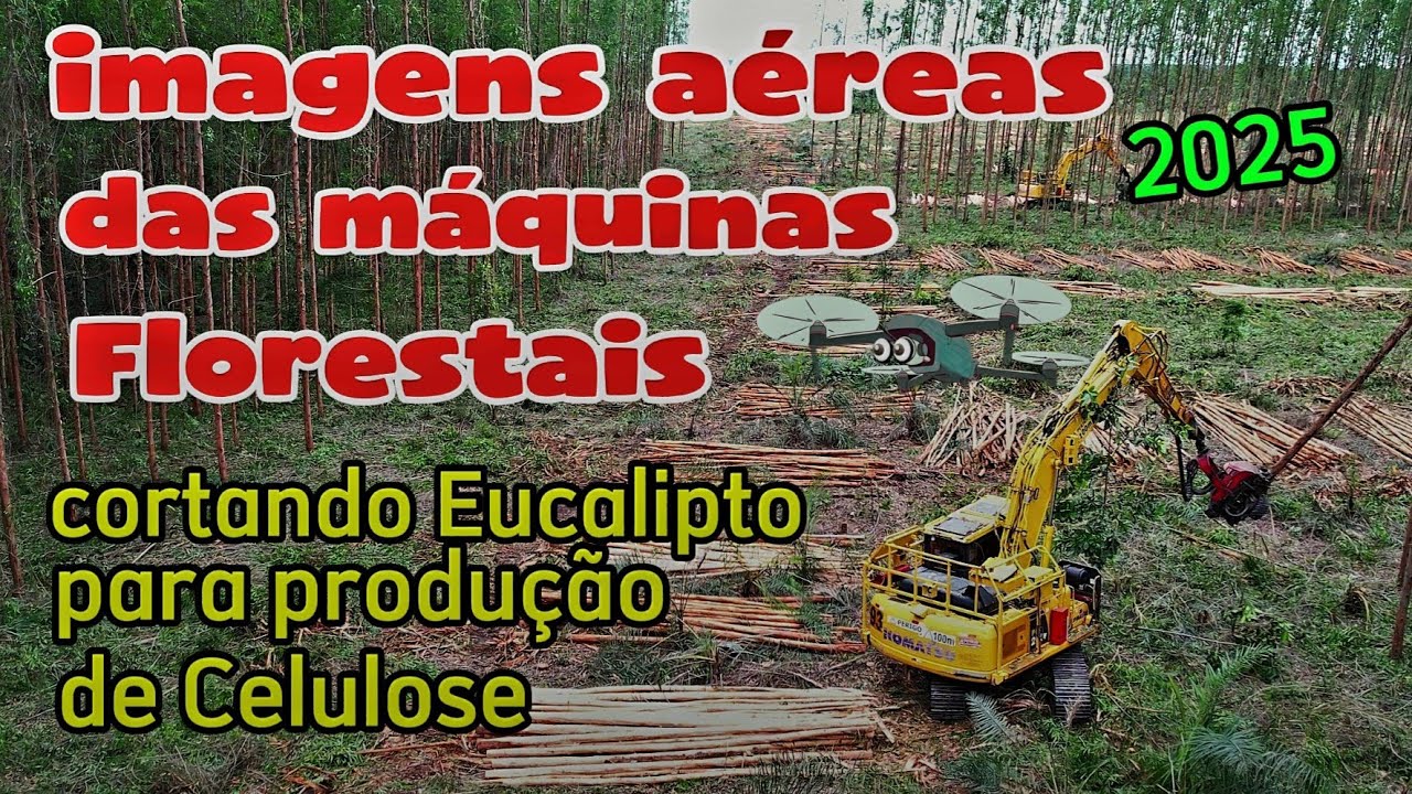  Novas Imagens  atualizadas com a versão estabilizada, do Harvester cortando Eucalipto.
