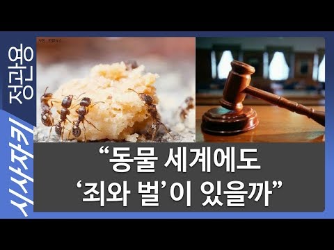 “동물 세계에도 &amp;#39;죄와 벌&amp;#39;이 있을까”｜최재천의 동물보감｜최재천 이화여대 석좌교수｜시사자키 정관용입니다