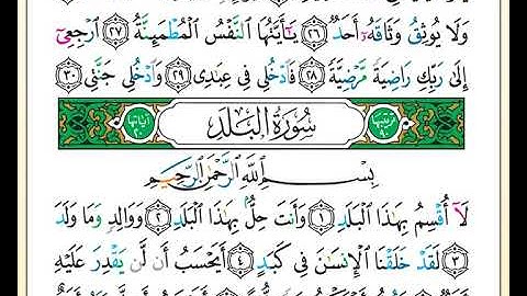 ختمة تلاوة لمصحف التجويد بصوت القارئ محمد حبش الصفحة رقم 594