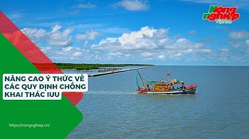 Nâng cao ý thức về các quy định chống khai thác IUU