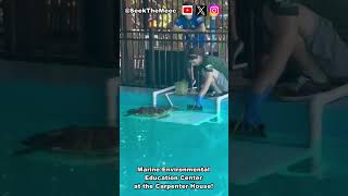 Things we love about District 1 in Hollywood- The Marine Environmental Education Center!